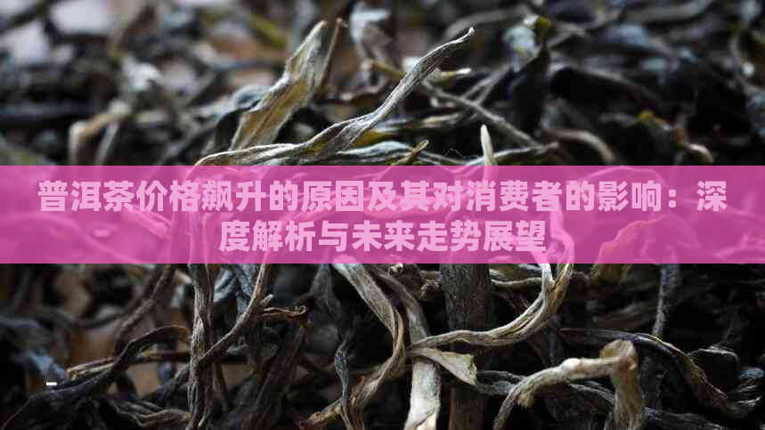 普洱茶价格飙升的原因及其对消费者的影响：深度解析与未来走势展望