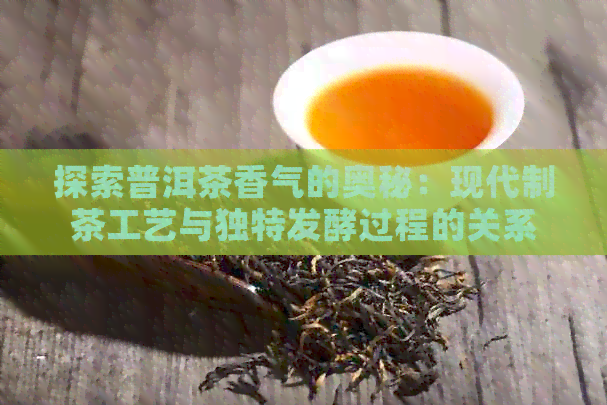 探索普洱茶香气的奥秘：现代制茶工艺与独特发酵过程的关系