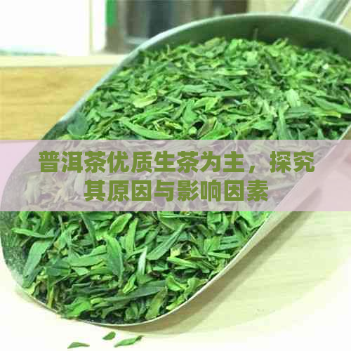 普洱茶优质生茶为主，探究其原因与影响因素