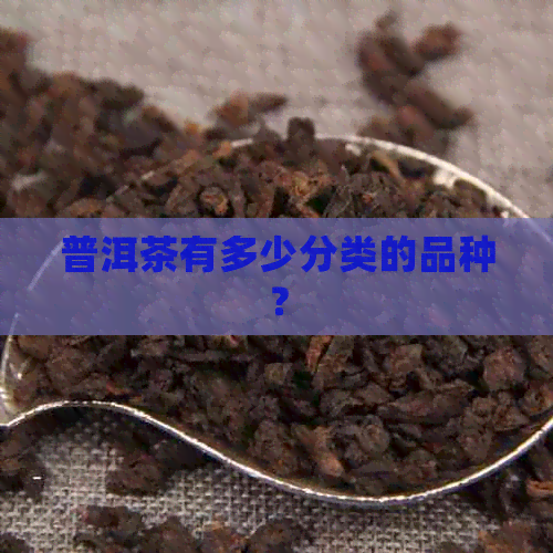 普洱茶有多少分类的品种？