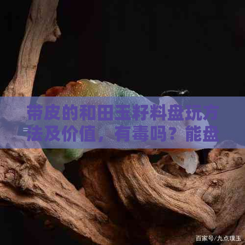 带皮的和田玉籽料盘玩方法及价值，有吗？能盘出油吗？