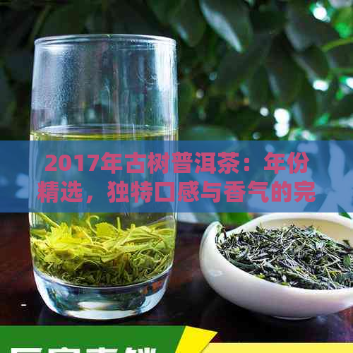 2017年古树普洱茶：年份精选，独特口感与香气的完美结合