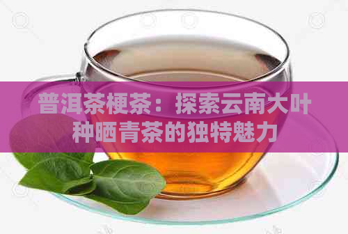 普洱茶梗茶：探索云南大叶种晒青茶的独特魅力