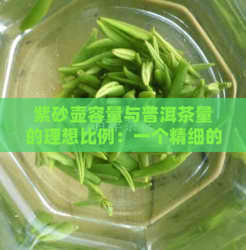 紫砂壶容量与普洱茶量的理想比例：一个精细的调配艺术