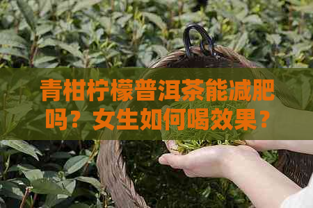 青柑柠檬普洱茶能减肥吗？女生如何喝效果？