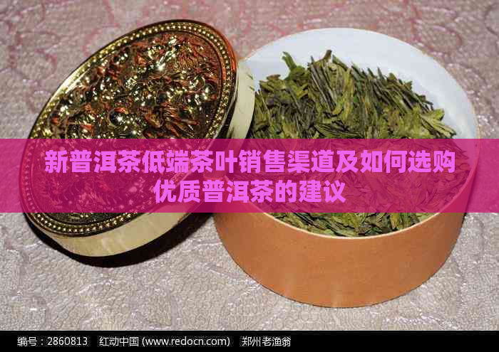 新普洱茶低端茶叶销售渠道及如何选购优质普洱茶的建议