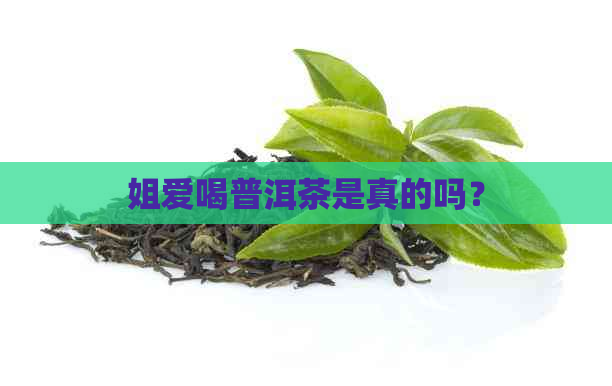 姐爱喝普洱茶是真的吗？