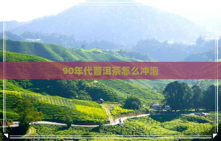 90年代普洱茶怎么冲泡