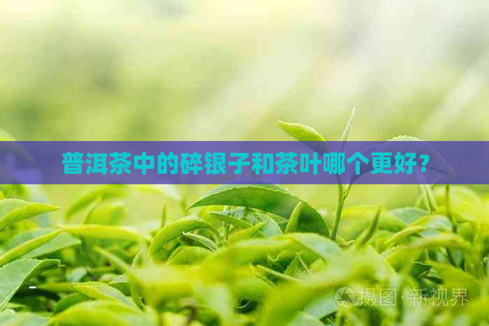 普洱茶中的碎银子和茶叶哪个更好？