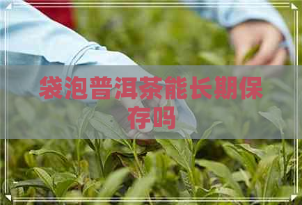 袋泡普洱茶能长期保存吗