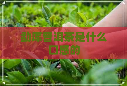 勐库普洱茶是什么口感的