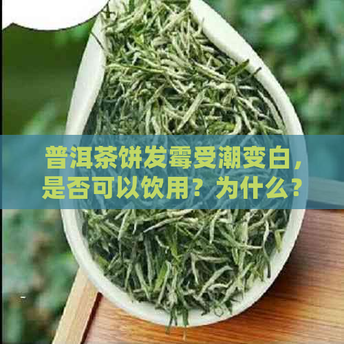 普洱茶饼发霉受潮变白，是否可以饮用？为什么？如何处理？