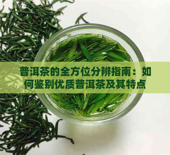 普洱茶的全方位分辨指南：如何鉴别优质普洱茶及其特点