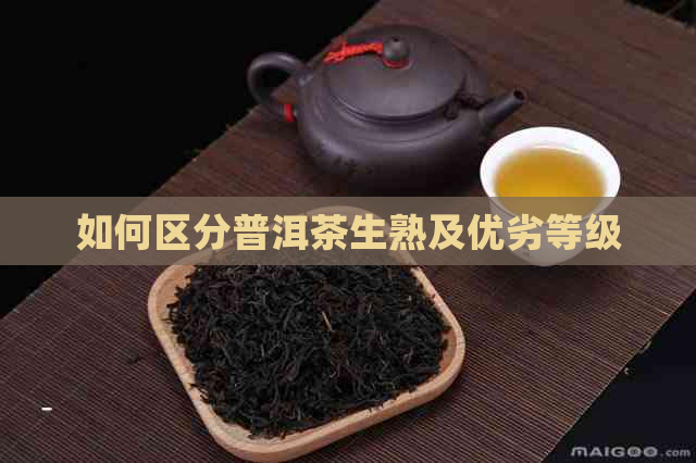 如何区分普洱茶生熟及优劣等级