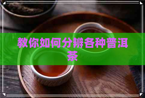 教你如何分辨各种普洱茶