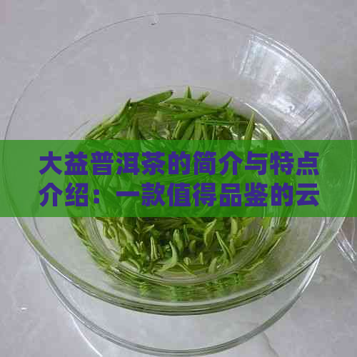 大益普洱茶的简介与特点介绍：一款值得品鉴的云南名茶