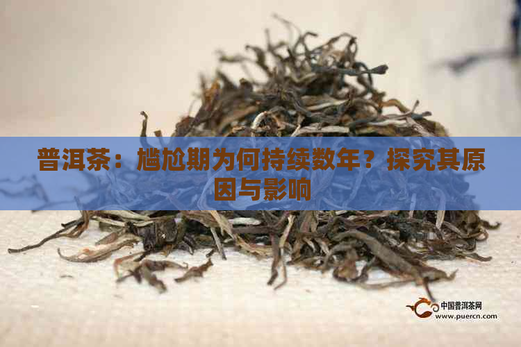 普洱茶：尴尬期为何持续数年？探究其原因与影响