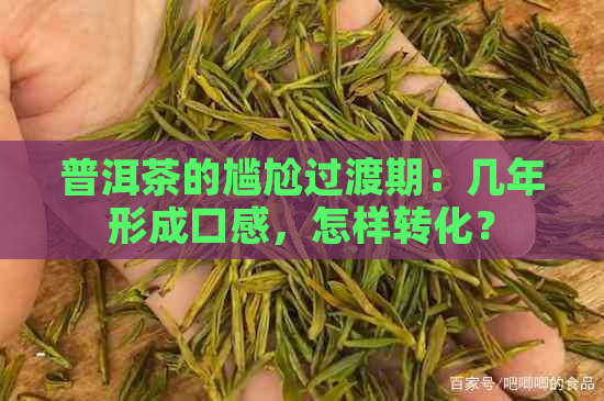 普洱茶的尴尬过渡期：几年形成口感，怎样转化？