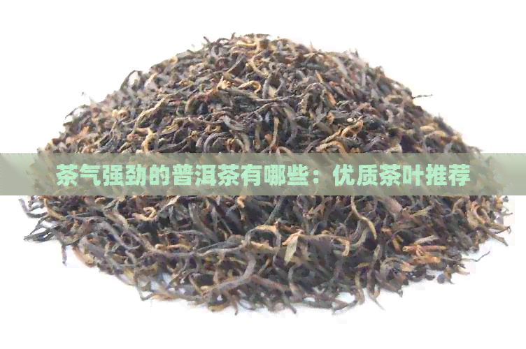 茶气强劲的普洱茶有哪些：优质茶叶推荐