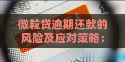 微粒贷逾期还款的风险及应对策略：真的会被起诉吗？