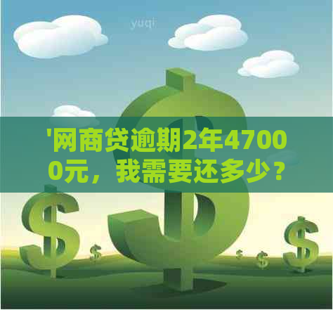 '网商贷逾期2年47000元，我需要还多少？如何计算还款金额及逾期利息？'