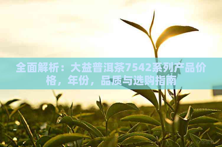 全面解析：大益普洱茶7542系列产品价格，年份，品质与选购指南