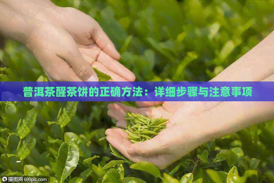 普洱茶醒茶饼的正确方法：详细步骤与注意事项