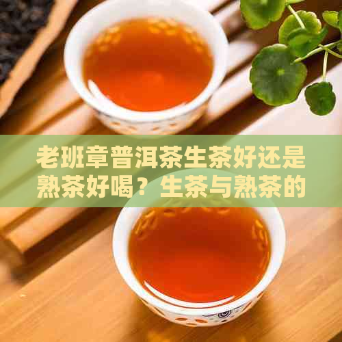 老班章普洱茶生茶好还是熟茶好喝？生茶与熟茶的区别及饮用方法。