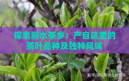 探索丽水茶乡：产自这里的茶叶品种及独特风味