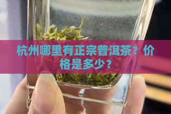 杭州哪里有正宗普洱茶？价格是多少？