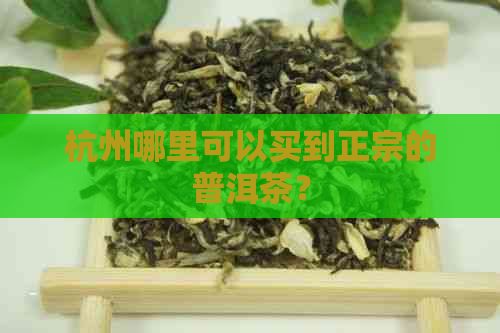 杭州哪里可以买到正宗的普洱茶？