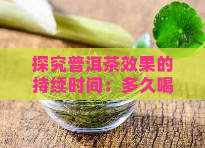 探究普洱茶效果的持续时间：多久喝一次最有效？