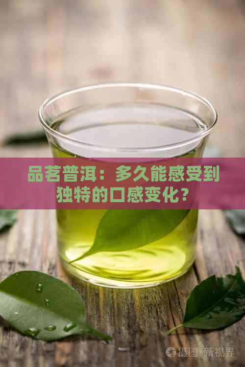 品茗普洱：多久能感受到独特的口感变化？