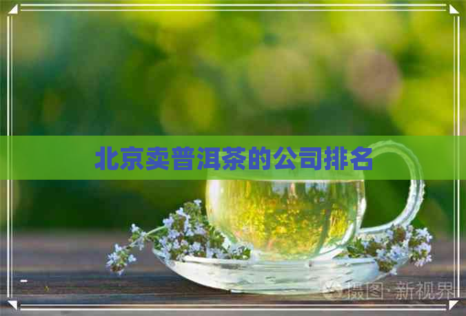 北京卖普洱茶的公司排名