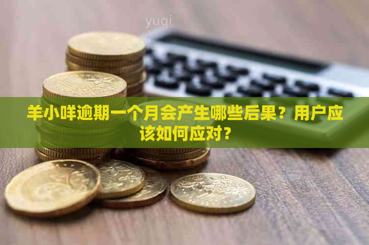 羊小咩逾期一个月会产生哪些后果？用户应该如何应对？