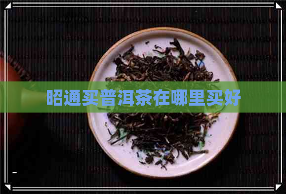 昭通买普洱茶在哪里买好