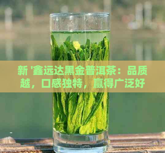 新 '鑫远达黑金普洱茶：品质越，口感独特，赢得广泛好评'