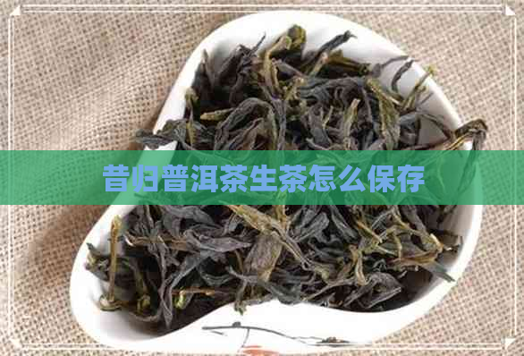 昔归普洱茶生茶怎么保存