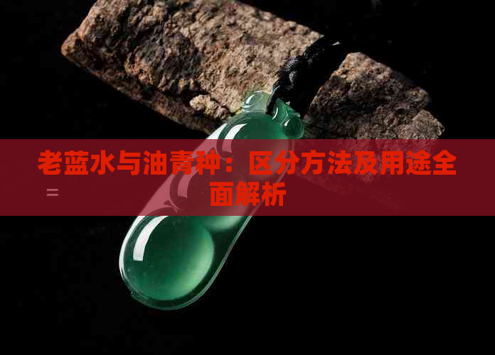 老蓝水与油青种：区分方法及用途全面解析