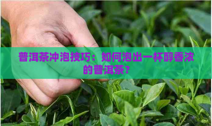 普洱茶冲泡技巧：如何泡出一杯醇香浓的普洱茶？