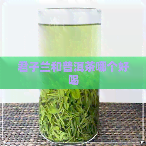 君子兰和普洱茶哪个好喝