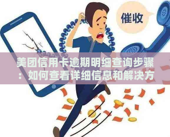 美团信用卡逾期明细查询步骤：如何查看详细信息和解决方案