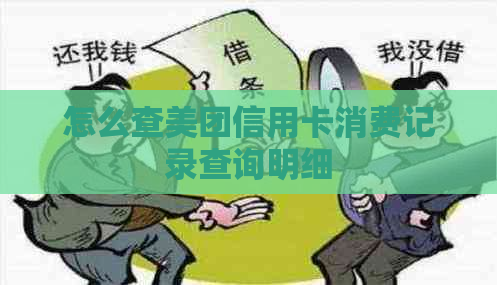 怎么查美团信用卡消费记录查询明细