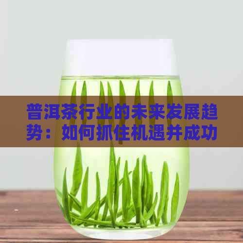 普洱茶行业的未来发展趋势：如何抓住机遇并成功经营茶叶生意