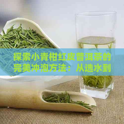 探索小青柑红皮普洱茶的完美冲泡方法：从选水到品尝的细致指导