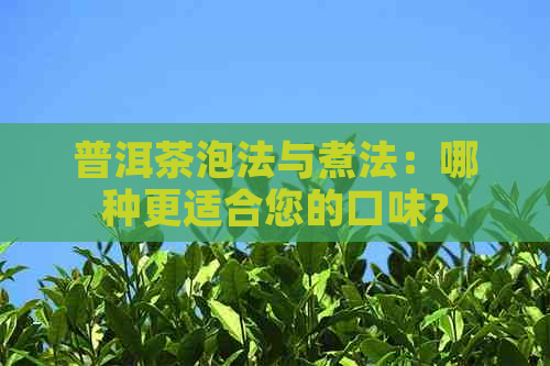 普洱茶泡法与煮法：哪种更适合您的口味？