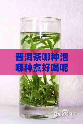 普洱茶哪种泡哪种煮好喝呢？喝的普洱茶种类有哪些？