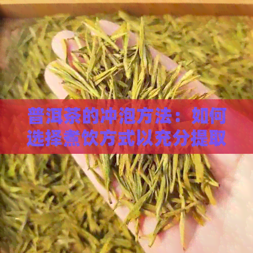 普洱茶的冲泡方法：如何选择煮饮方式以充分提取其风味