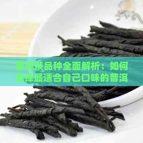 普洱茶品种全面解析：如何选择最适合自己口味的普洱茶？