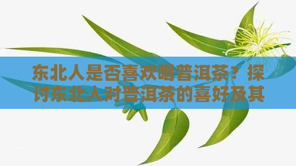 东北人是否喜欢喝普洱茶？探讨东北人对普洱茶的喜好及其原因